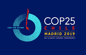 logo COP25