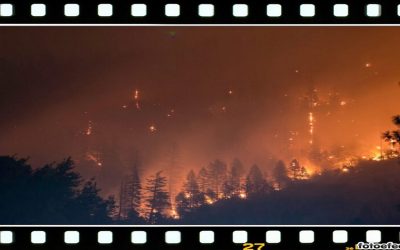 Ártico, incendios y zombis… ¿película de ciencia ficción?