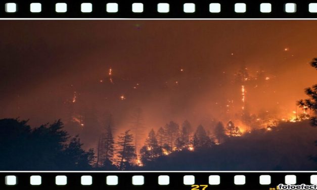 Ártico, incendios y zombis… ¿película de ciencia ficción?